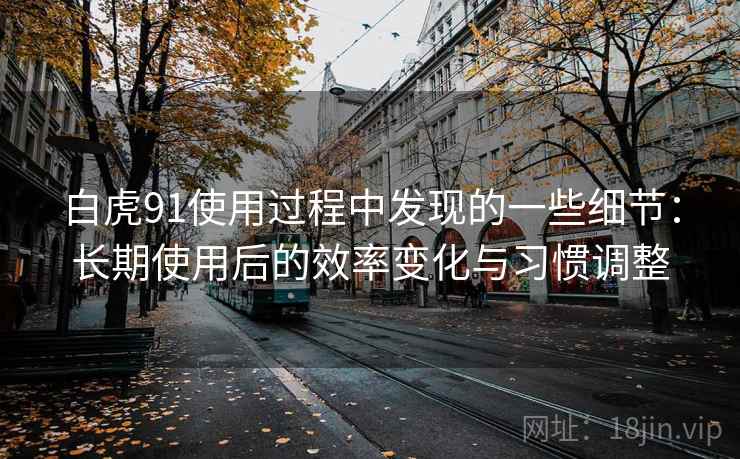 白虎91使用过程中发现的一些细节：长期使用后的效率变化与习惯调整