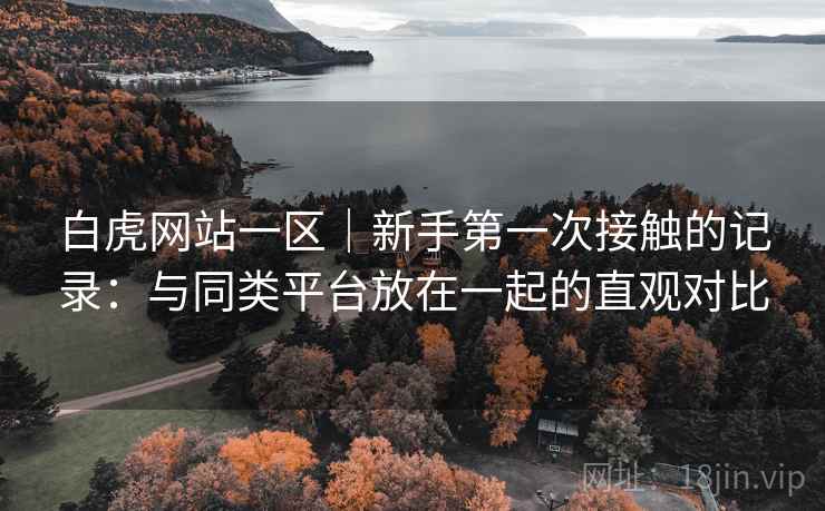 白虎网站一区｜新手第一次接触的记录：与同类平台放在一起的直观对比