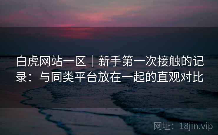白虎网站一区｜新手第一次接触的记录：与同类平台放在一起的直观对比