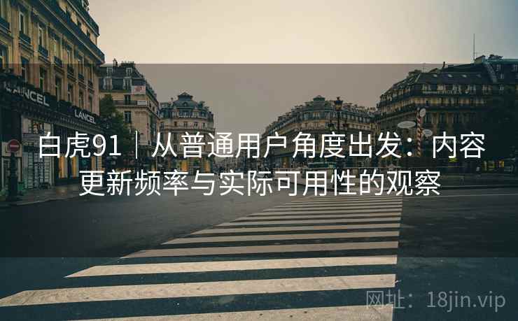 白虎91｜从普通用户角度出发：内容更新频率与实际可用性的观察