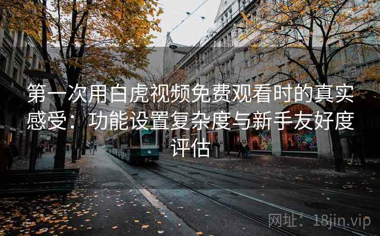 第一次用白虎视频免费观看时的真实感受：功能设置复杂度与新手友好度评估